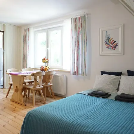 民宿 Wilenska 格但斯克